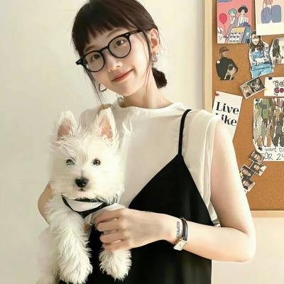 波普先生的企鹅